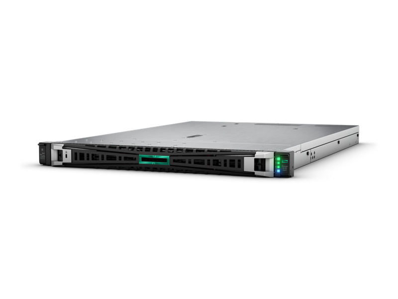 HPE SMART CHOICE ProLiant DL325 G11 1U Rack Server