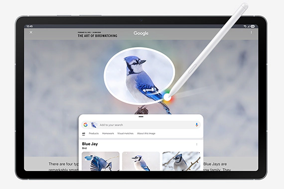 Samsung Galaxy Tab S10 FE+ Tablet