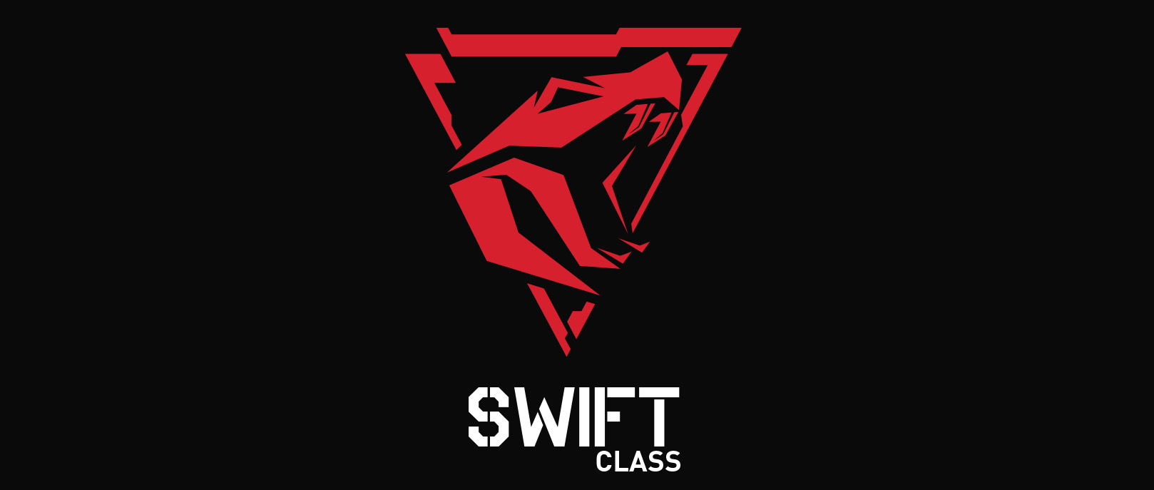 XFX Swift AMD Radeon RX 9060 XT OC Triple Fan Gaming Edition 16GB Graphics Card