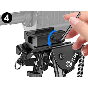 image for this item