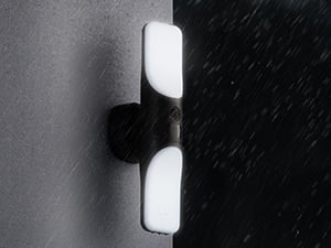 image for this item