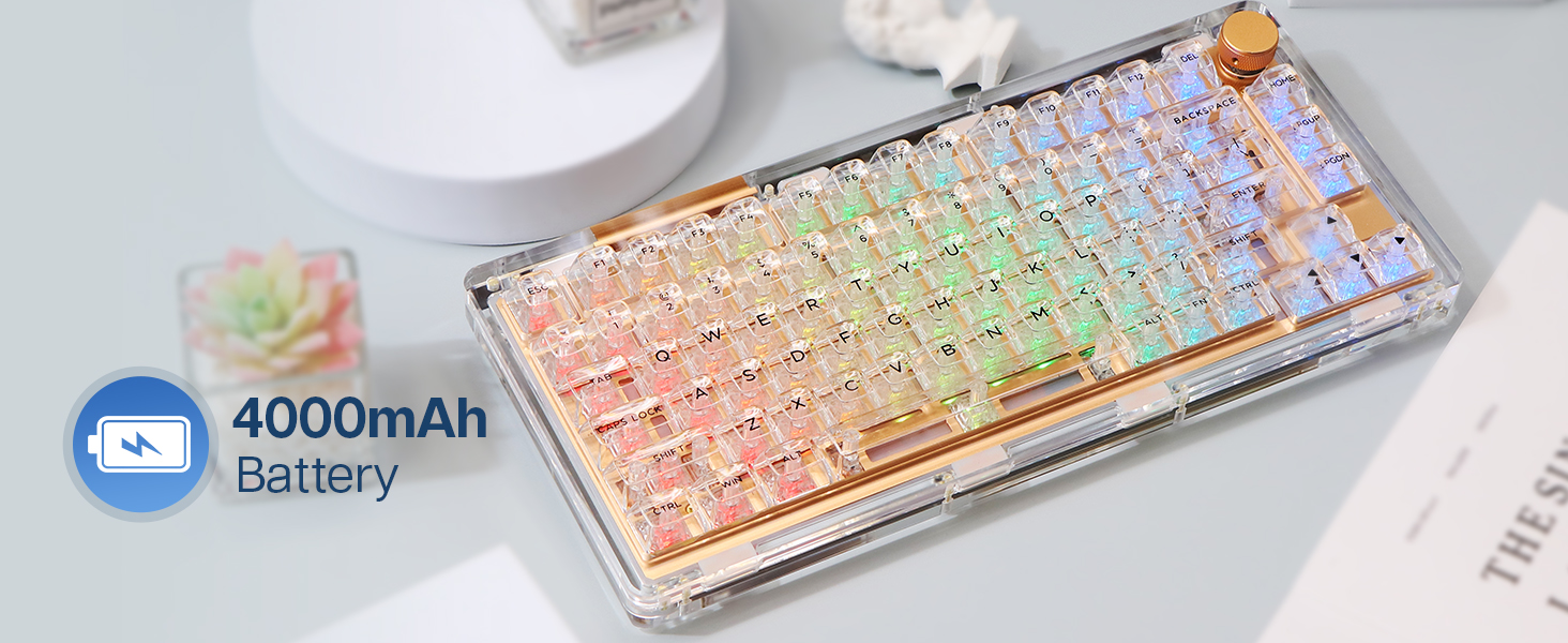 Mechanical Keyboard