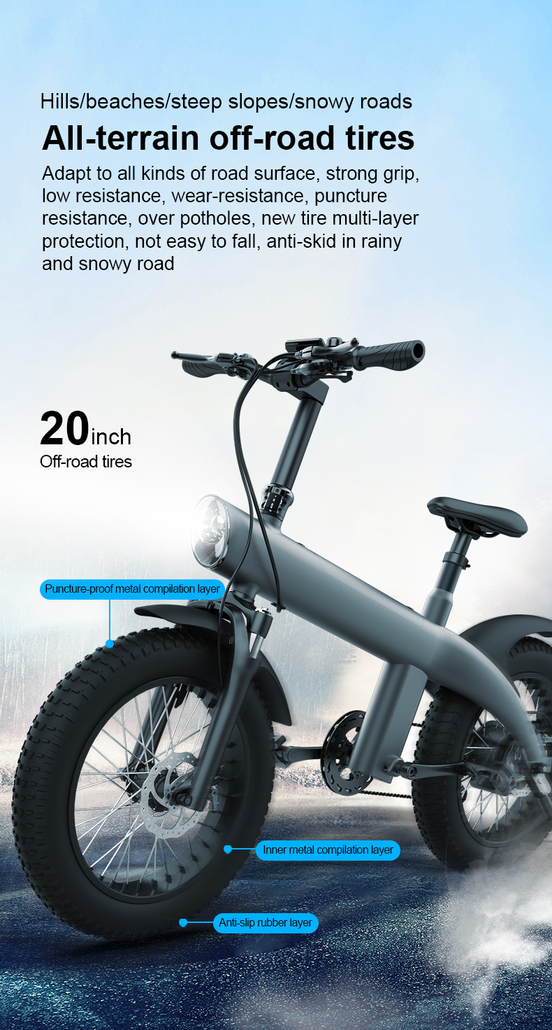 randride ebike display