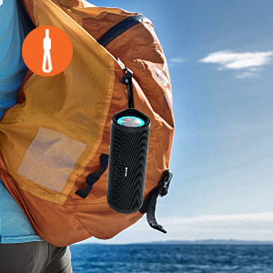 PORTABLE SPEAKER