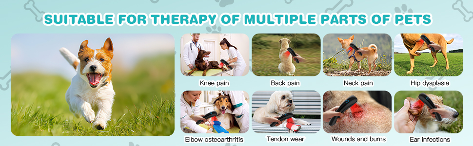 SUITABLE FOR THERAPY OF MULTIPLE PARTS OF PETS