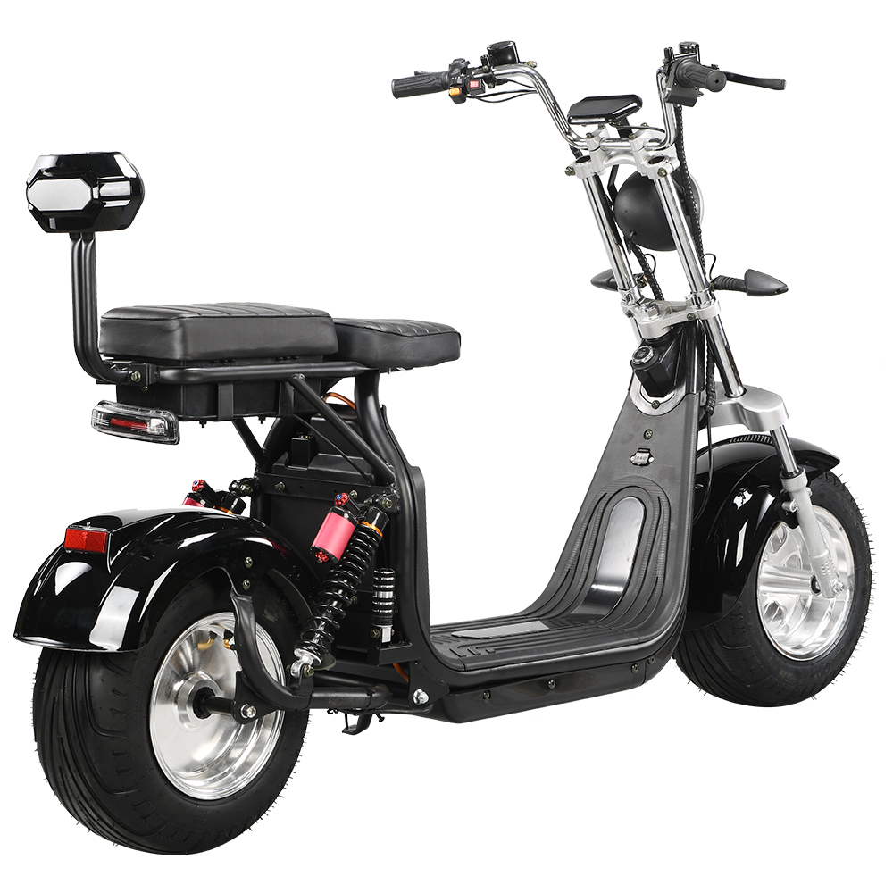 Model : X10 Citycoco