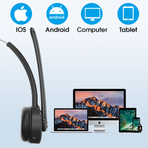 image for this item