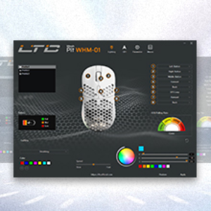 image for this item