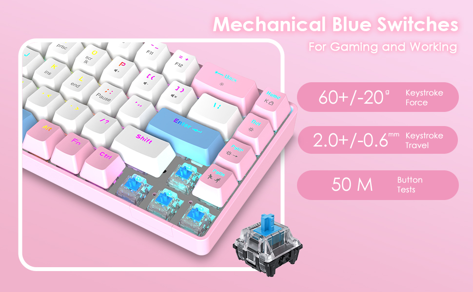 image for this item