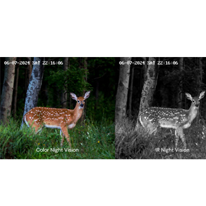 Instant Security Alerts & Deter Intruders