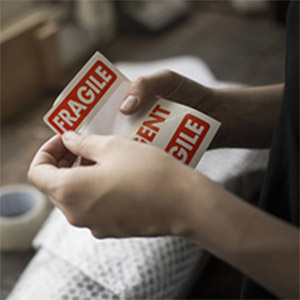 image for this item