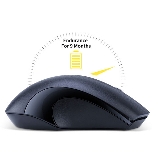 image for this item