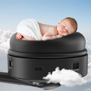 image for this item
