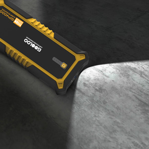 image for this item