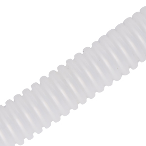 image for this item