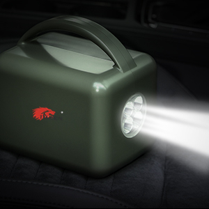 image for this item