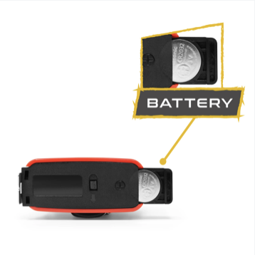 image for this item