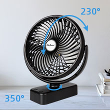 image for this item