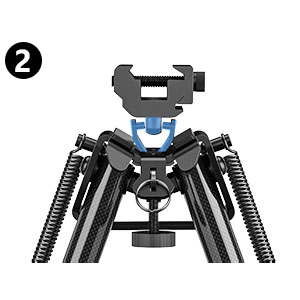 image for this item