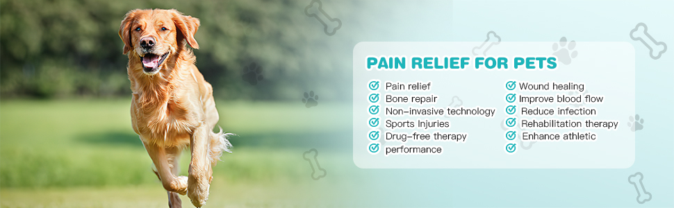 PAIN RELIEF FOR PETS