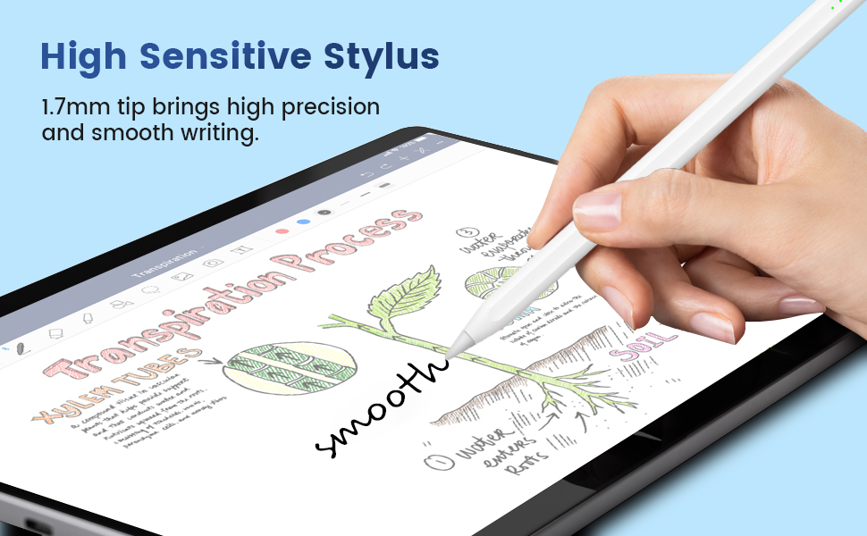 Stylus Pencil