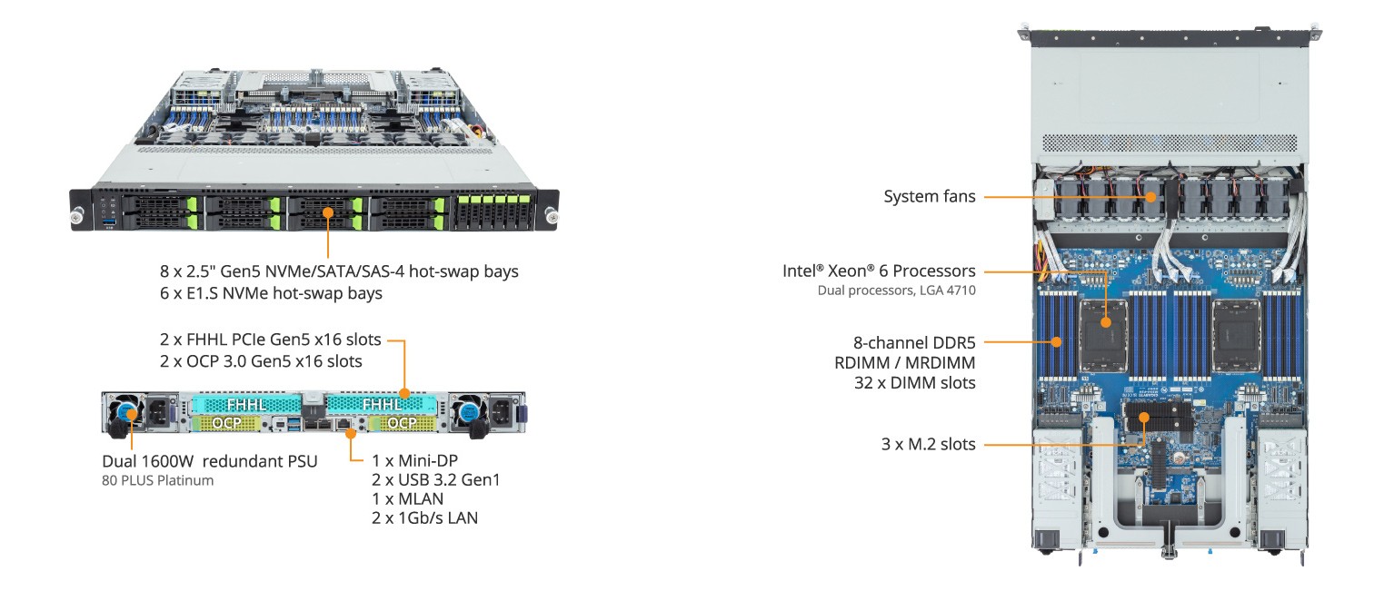 R184-S91-AAV1 Product Overview