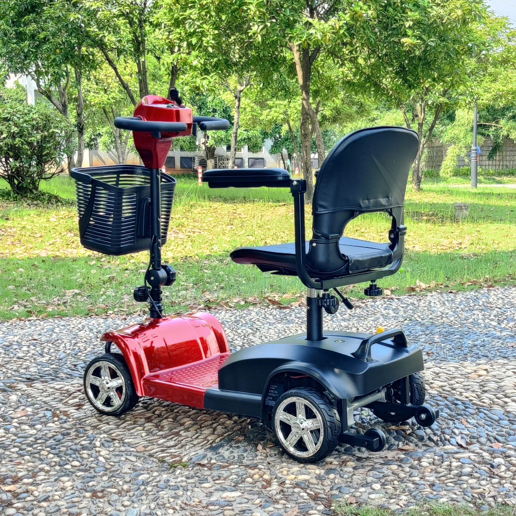 Electric scooter back show