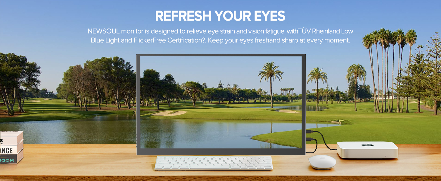 4K MONITOR