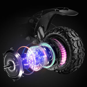 6000W Dual Motor