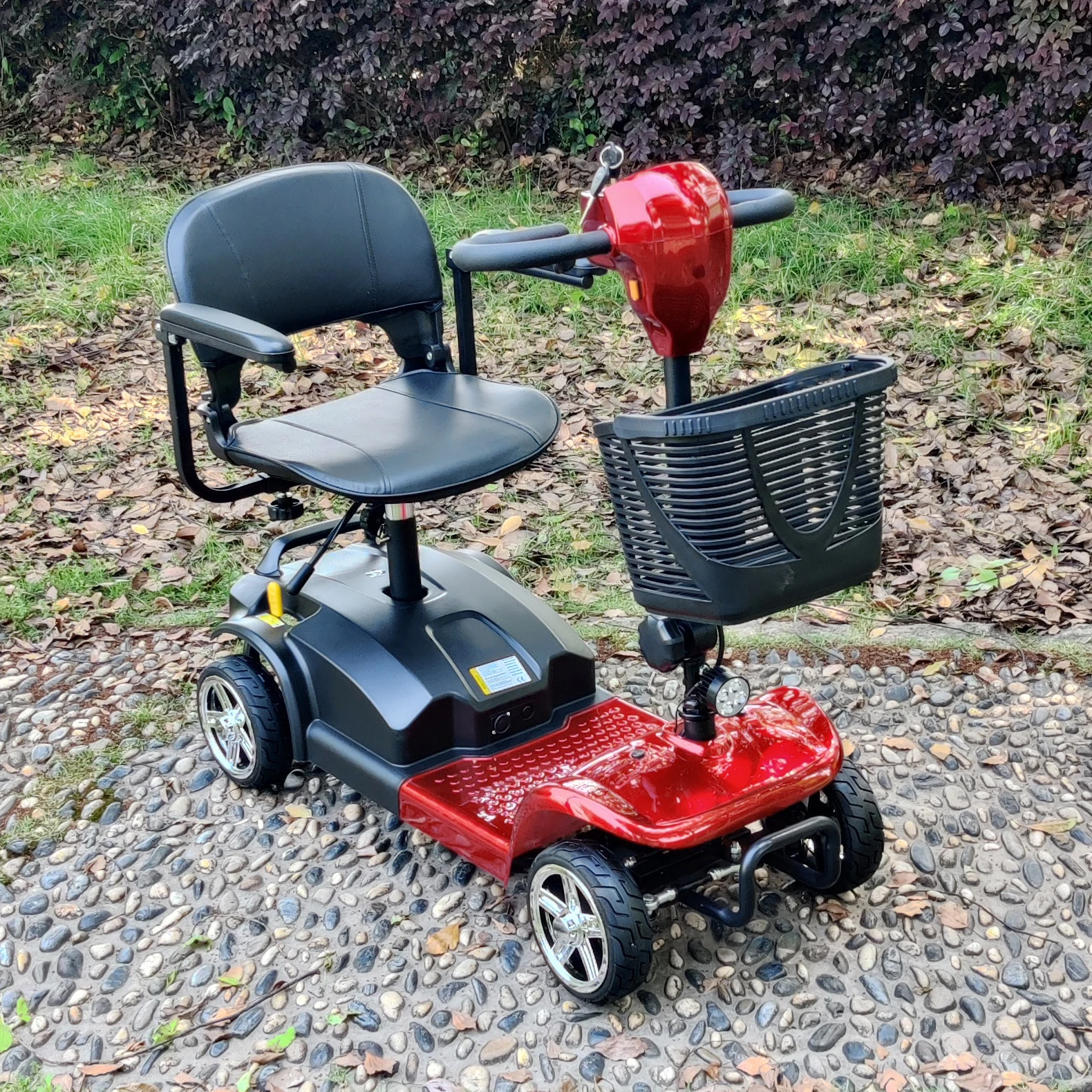 electric scooter
