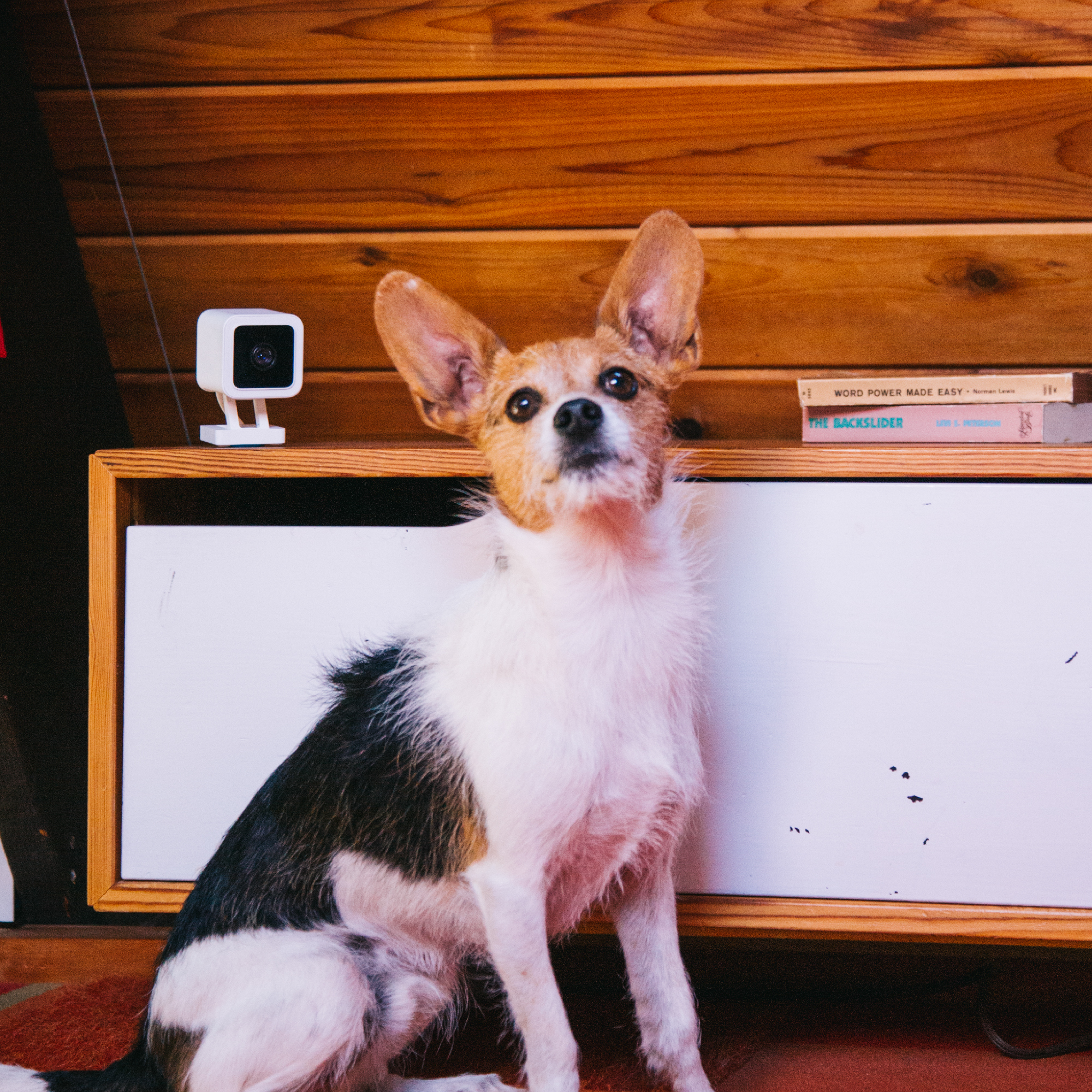 Wyze Cam v3 Peace of Mind for Pets