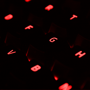 image for this item