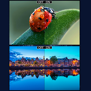 image for this item