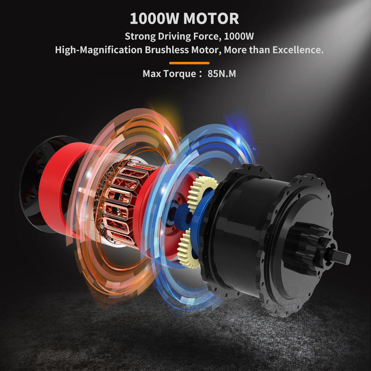 image for this item