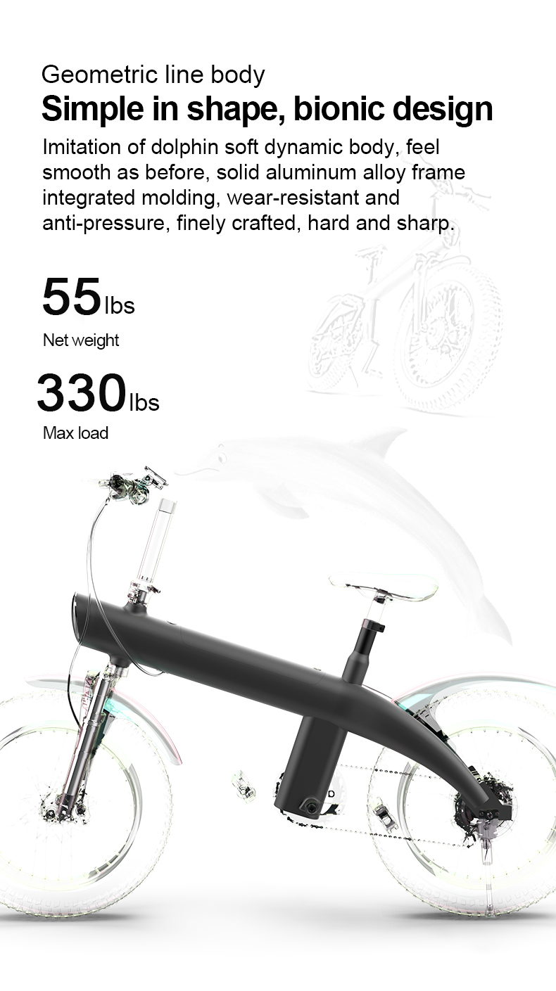 randride ebike battery