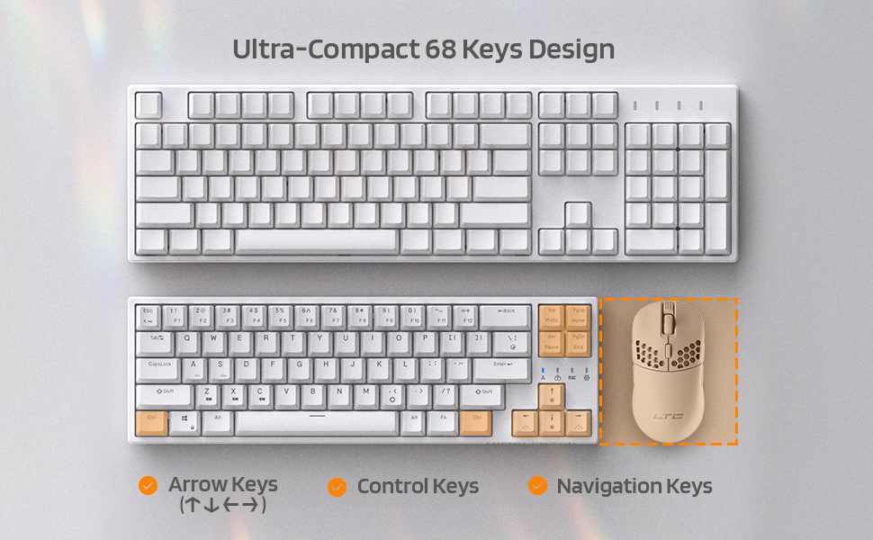image for this item
