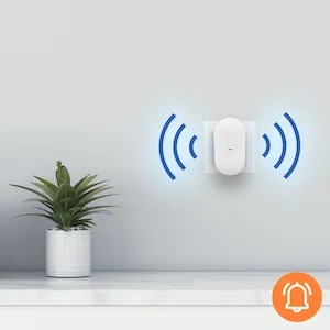 image for this item