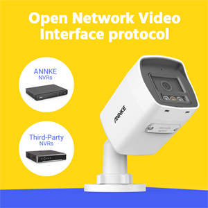 PoE Security Camera