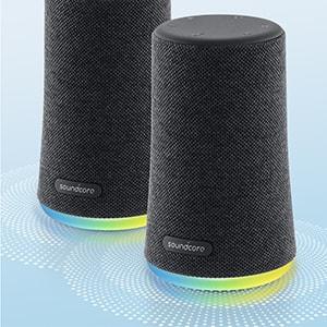 image for this item