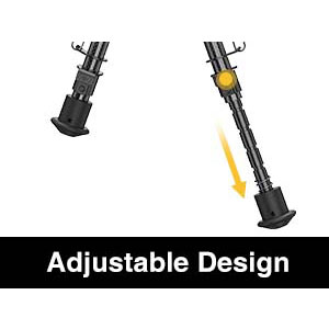 image for this item