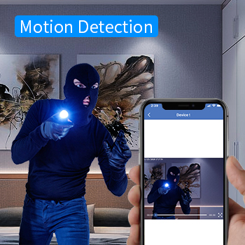 image for this item