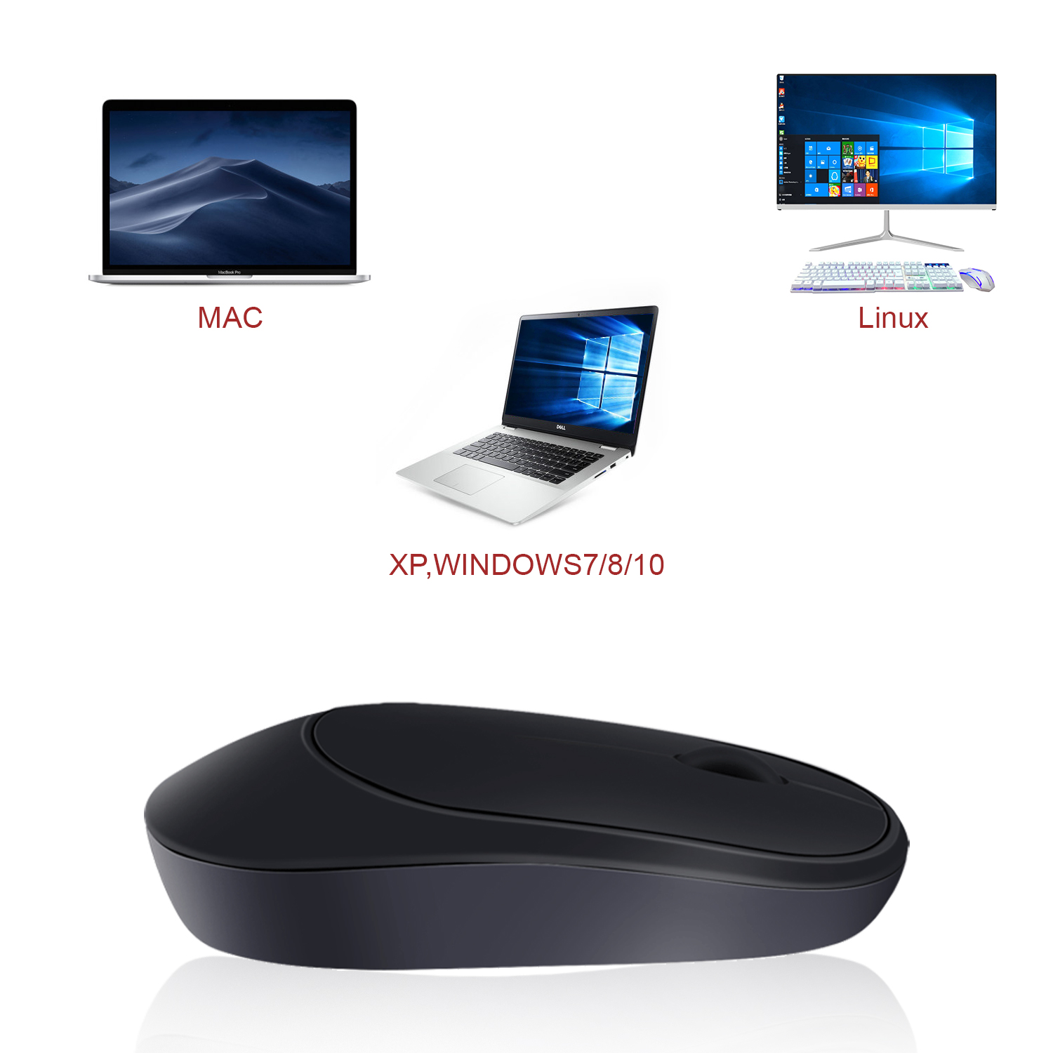 image for this item