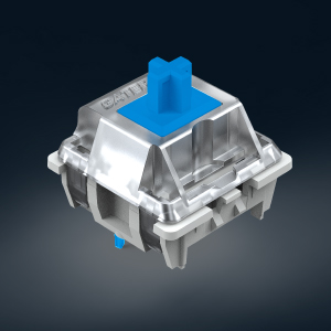 image for this item