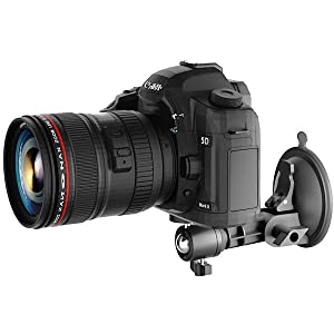 image for this item