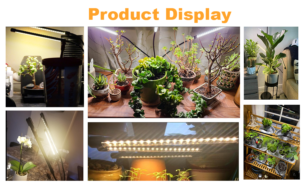 Grow Light Plant Lights for Indoor Plants