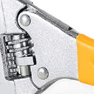 image for this item