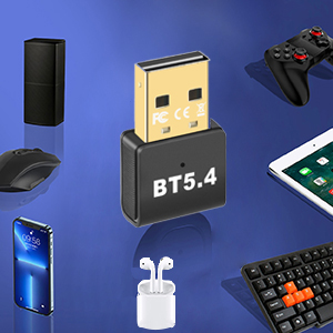 Windows PC with Bluetooth.
