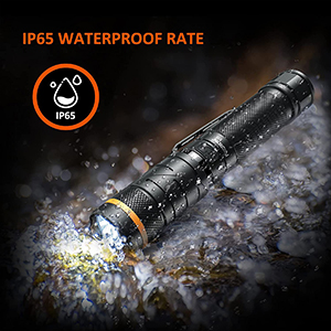 image for this item
