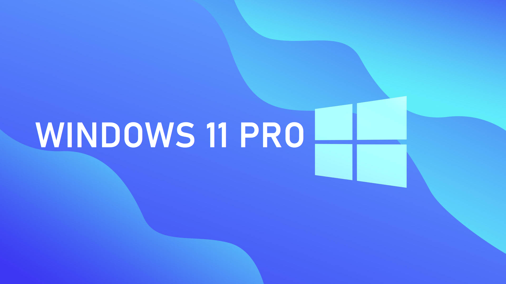 WINDOWS 11 PRO