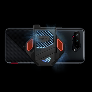 image for this item